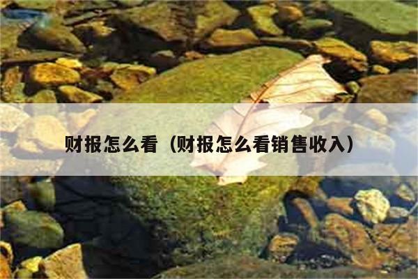 财报怎么看（财报怎么看销售收入） 