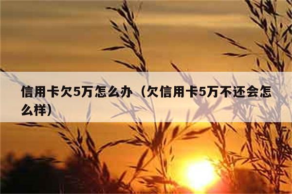 信用卡欠5万怎么办（欠信用卡5万不还会怎么样） 