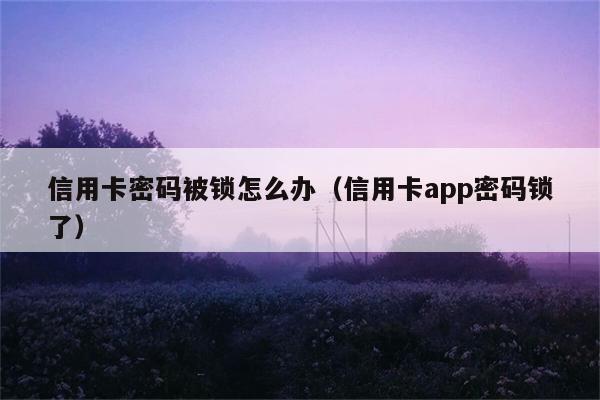 信用卡密码被锁怎么办（信用卡app密码锁了） 