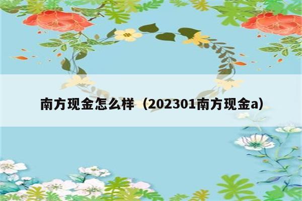 南方现金怎么样（202301南方现金a） 