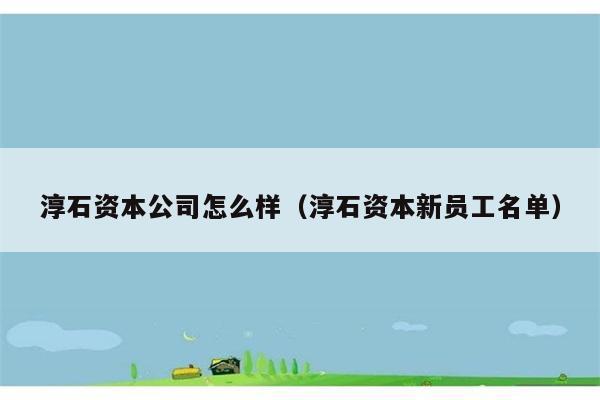 淳石资本公司怎么样（淳石资本新员工名单） 