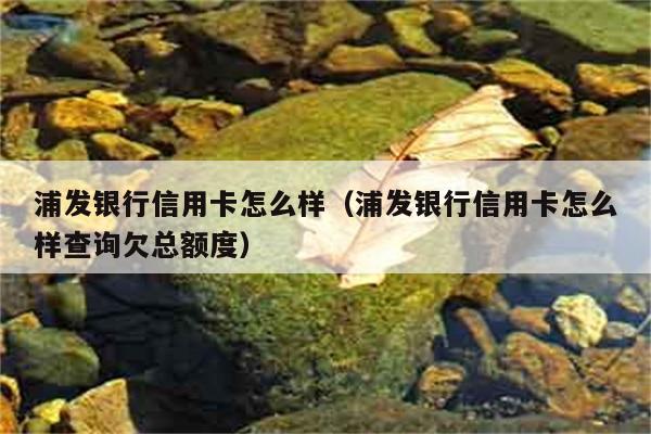 浦发银行信用卡怎么样（浦发银行信用卡怎么样查询欠总额度） 