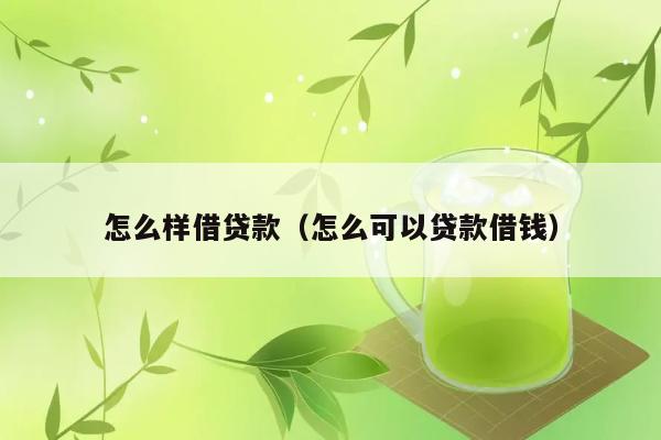 怎么样借贷款（怎么可以贷款借钱） 