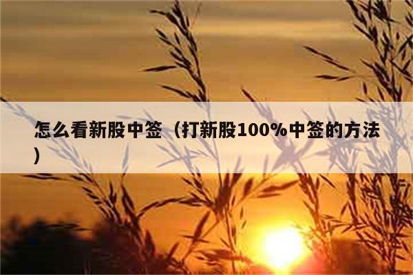 怎么看新股中签（打新股100%中签的方法） 