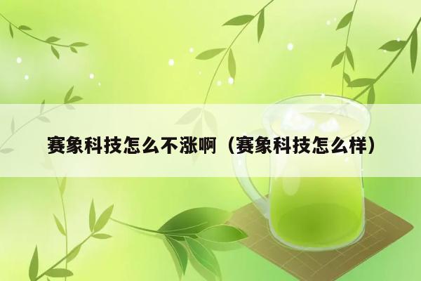 赛象科技怎么不涨啊（赛象科技怎么样） 