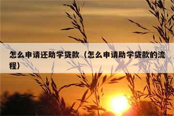 怎么申请还助学贷款（怎么申请助学贷款的流程） 