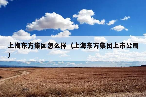 上海东方集团怎么样（上海东方集团上市公司） 