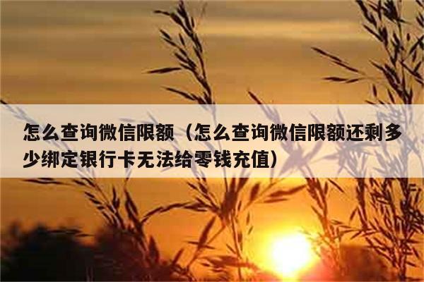 怎么查询微信限额（怎么查询微信限额还剩多少绑定银行卡无法给零钱充值） 