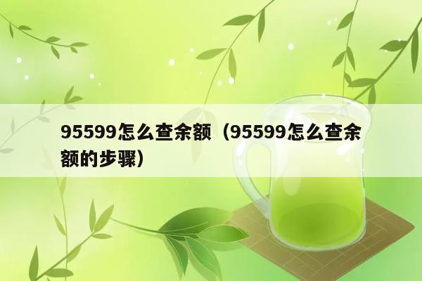 95599怎么查余额（95599怎么查余额的步骤） 