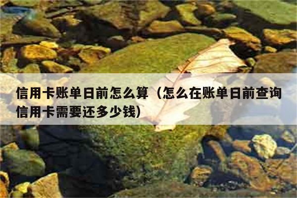 信用卡账单日前怎么算（怎么在账单日前查询信用卡需要还多少钱） 