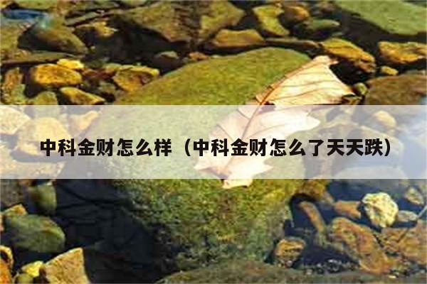 中科金财怎么样（中科金财怎么了天天跌） 