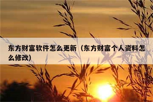 东方财富软件怎么更新（东方财富个人资料怎么修改） 