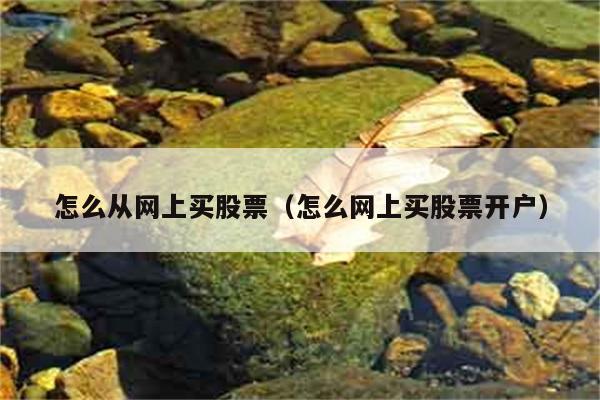 怎么从网上买股票（怎么网上买股票开户） 