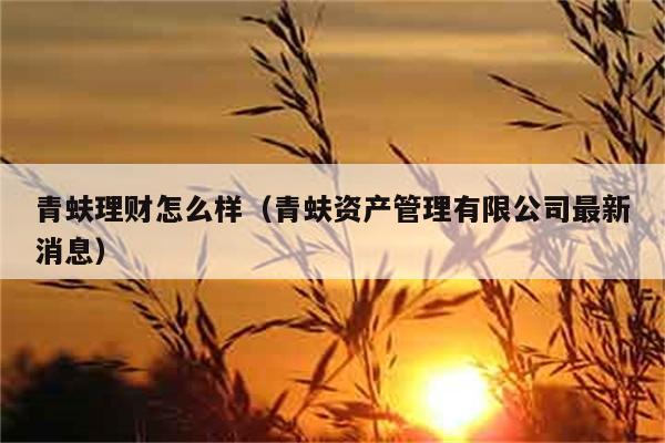 青蚨理财怎么样（青蚨资产管理有限公司最新消息） 