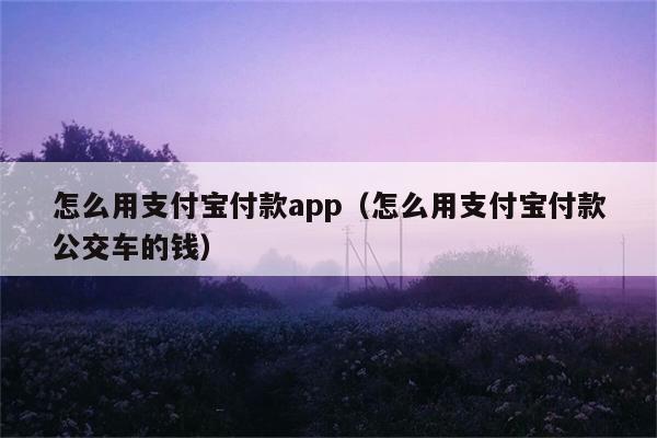 怎么用支付宝付款app（怎么用支付宝付款公交车的钱） 