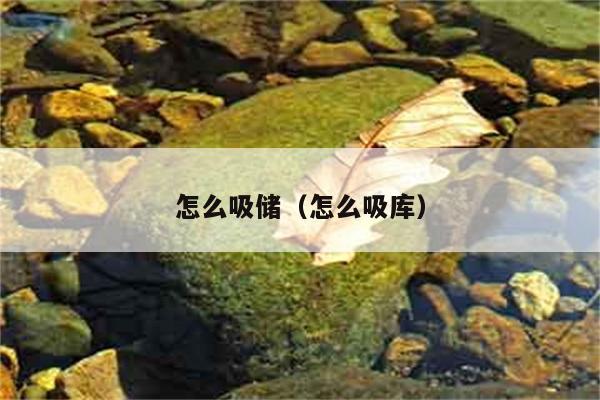 怎么吸储（怎么吸库） 