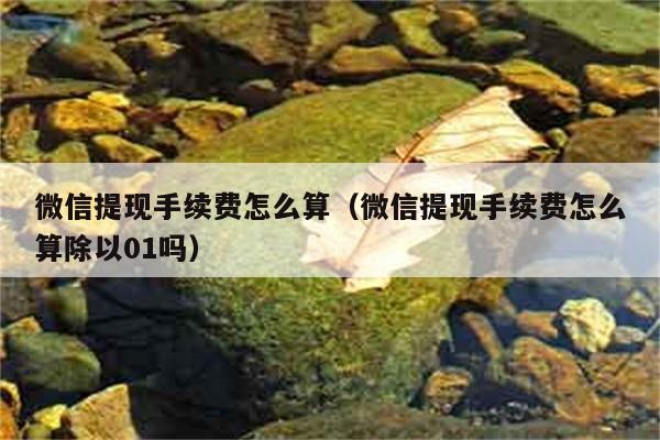 微信提现手续费怎么算（微信提现手续费怎么算除以01吗） 