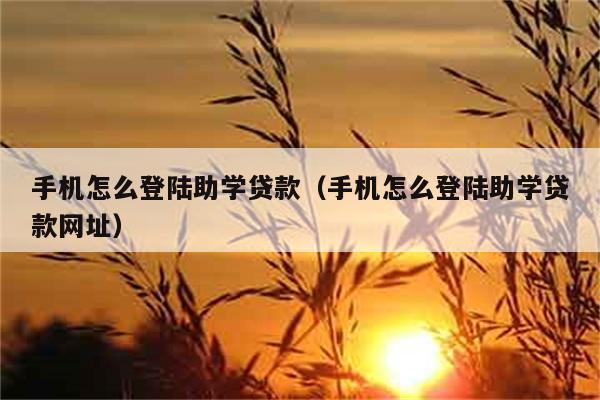 手机怎么登陆助学贷款（手机怎么登陆助学贷款网址） 