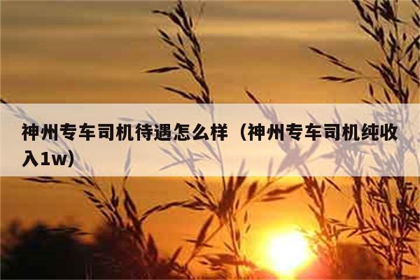 神州专车司机待遇怎么样（神州专车司机纯收入1w） 