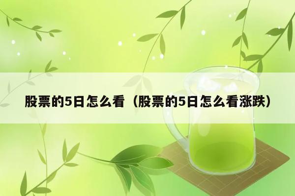 股票的5日怎么看（股票的5日怎么看涨跌） 