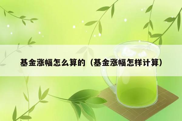 基金涨幅怎么算的（基金涨幅怎样计算） 