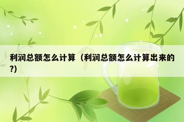 利润总额怎么计算（利润总额怎么计算出来的?） 