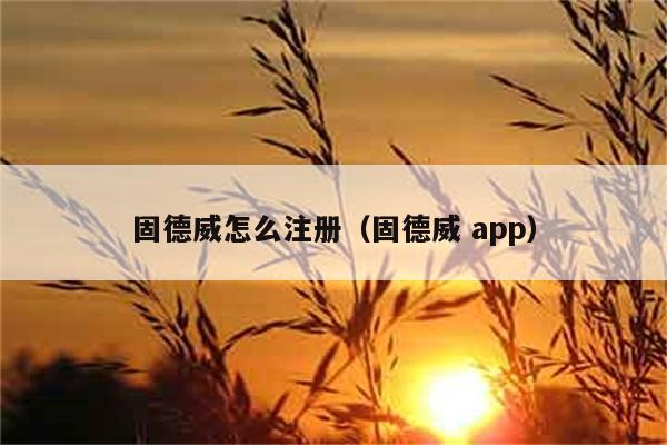 固德威怎么注册（固德威 app） 