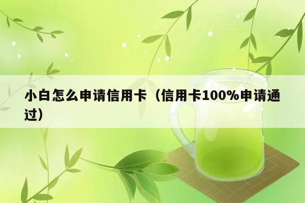 小白怎么申请信用卡（信用卡100%申请通过） 