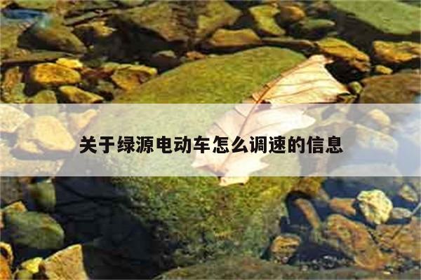 关于绿源电动车怎么调速的信息 