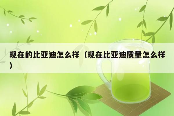 现在的比亚迪怎么样（现在比亚迪质量怎么样） 