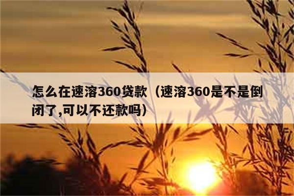 怎么在速溶360贷款（速溶360是不是倒闭了,可以不还款吗） 