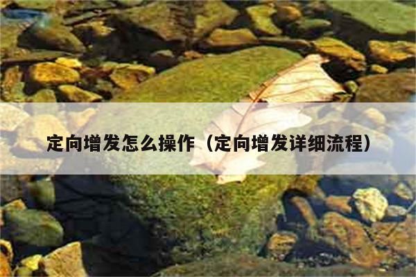 定向增发怎么操作（定向增发详细流程） 