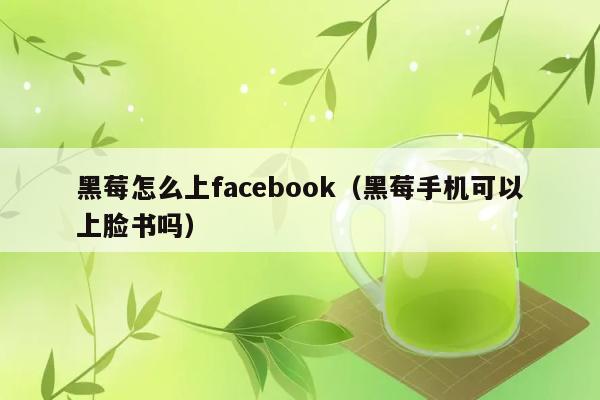 黑莓怎么上facebook（黑莓手机可以上脸书吗） 