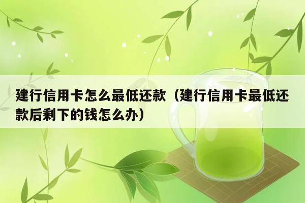 建行信用卡怎么最低还款（建行信用卡最低还款后剩下的钱怎么办） 