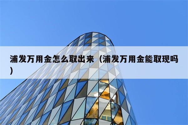 浦发万用金怎么取出来（浦发万用金能取现吗） 