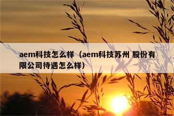 aem科技怎么样（aem科技苏州 股份有限公司待遇怎么样） 