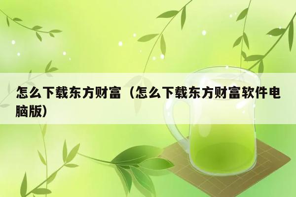 怎么下载东方财富（怎么下载东方财富软件电脑版） 