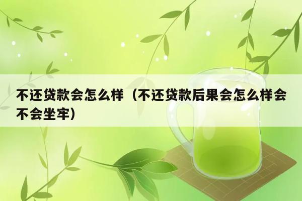 不还贷款会怎么样（不还贷款后果会怎么样会不会坐牢） 