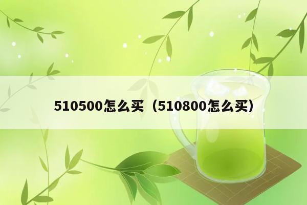 510500怎么买（510800怎么买） 