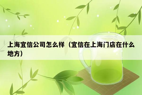 上海宜信公司怎么样（宜信在上海门店在什么地方） 