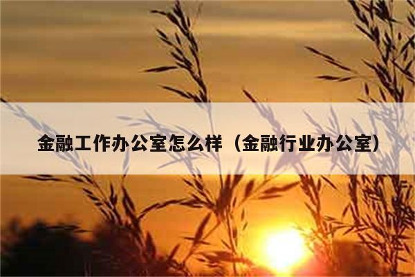 金融工作办公室怎么样（金融行业办公室） 