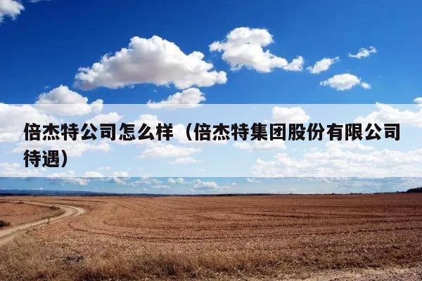 倍杰特公司怎么样（倍杰特集团股份有限公司待遇） 