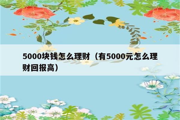 5000块钱怎么理财（有5000元怎么理财回报高） 