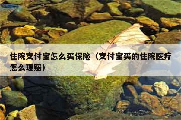 住院支付宝怎么买保险（支付宝买的住院医疗怎么理赔） 