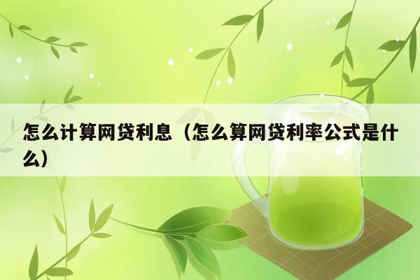 怎么计算网贷利息（怎么算网贷利率公式是什么） 