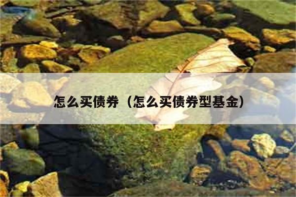 怎么买债券（怎么买债券型基金） 