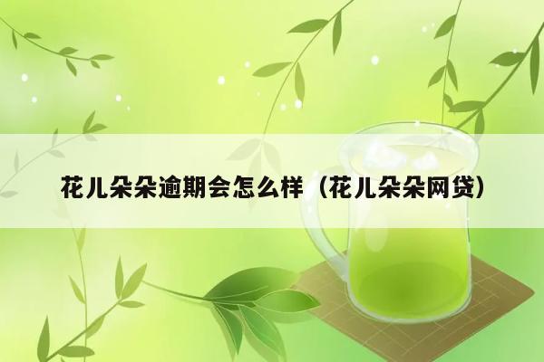 花儿朵朵逾期会怎么样（花儿朵朵网贷） 