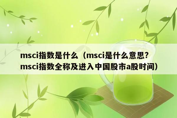 msci指数是什么（msci是什么意思?msci指数全称及进入中国股市a股时间） 