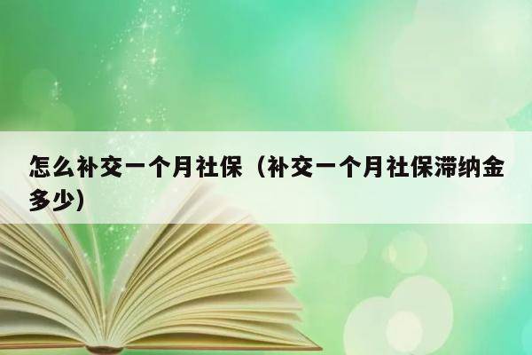 怎么补交一个月社保（补交一个月社保滞纳金多少） 