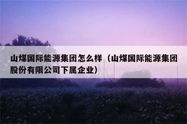 山煤国际能源集团怎么样（山煤国际能源集团股份有限公司下属企业） 